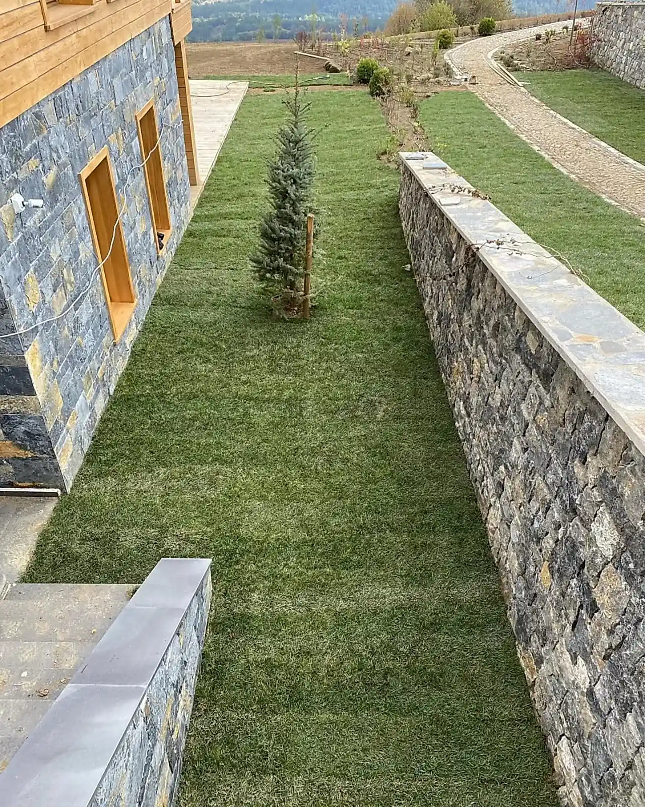 Çim Serimi Sonrası Görünüm Rulo çim serimi sonrası yeşil alan ve peyzaj görünümü - Erdem Peyzaj